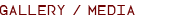 Gallery / Media